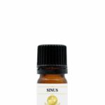 sinus-blend-5ml. Sinus Steam 5ml diffuser Blend - Hadassah