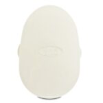 GS005LT #1. GS 2000 Safety Tray