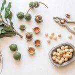 macadamia-roasted-salted-opt. Macadamia Nuts 250g Organic Raw