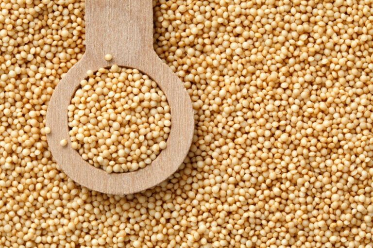 organic-amaranth. Amaranth 500g