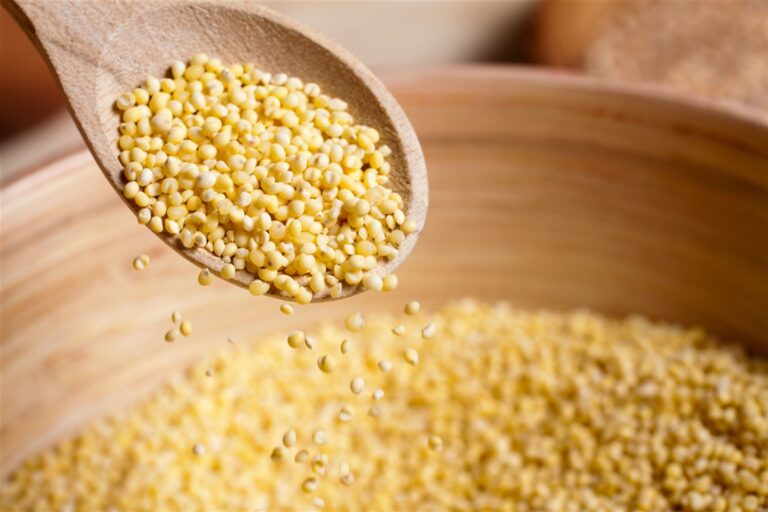 e08ad90d86aaef415e7a7ad312614314b5094a2f-4752x3168. Millet 1kg