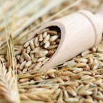 roggen-rye-by-photocrew-fotolia. Rye Grain 1kg