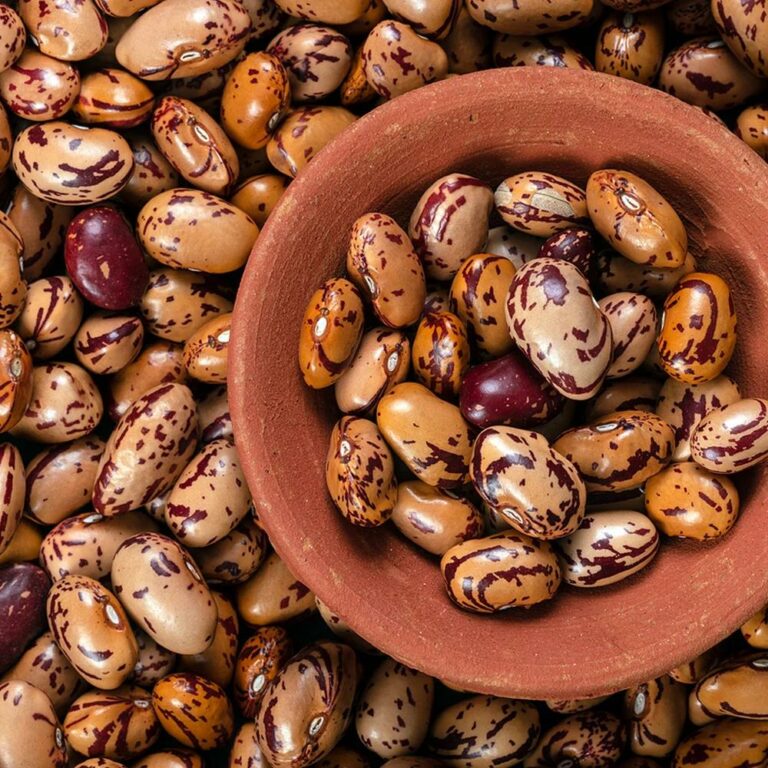 borlot. Borlotti Beans 500g Organic