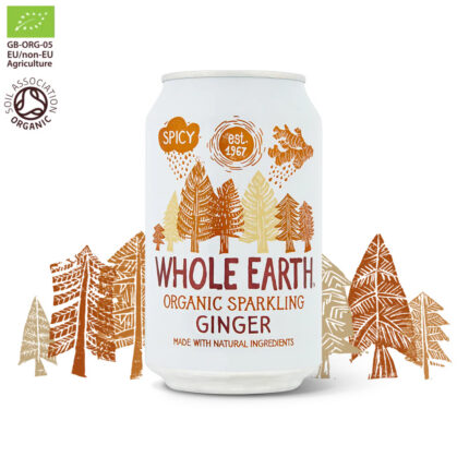 78304kallowewebimageslargeginger_1024x1024. Whole Earth Organic Ginger Drink 330ml
