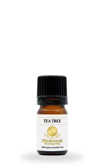 5ml-tea-tree. Tea Tree 5ml - Hadassah