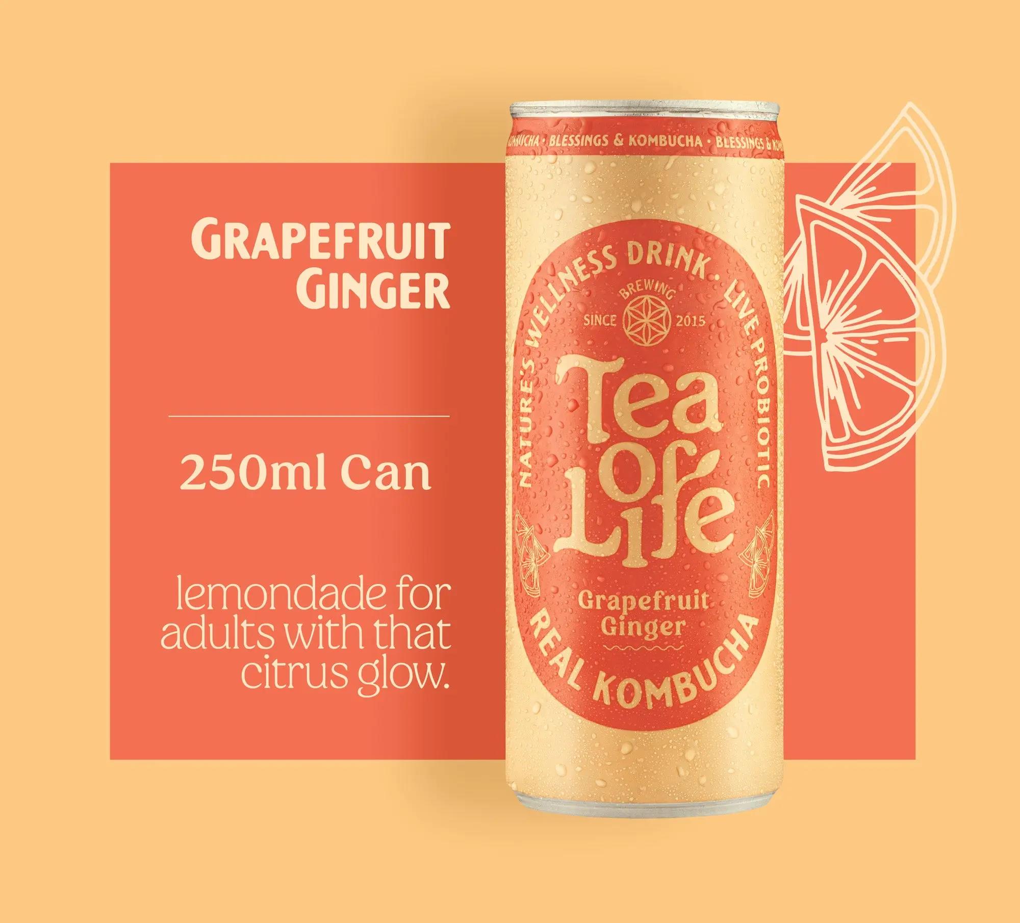 siproduct-3405-3219-2c1c8e59e589c65d9f675c6920d508b49a839db7 tea of life grapefruit ginger. Tea of Life Grapefruit Ginger 250ml