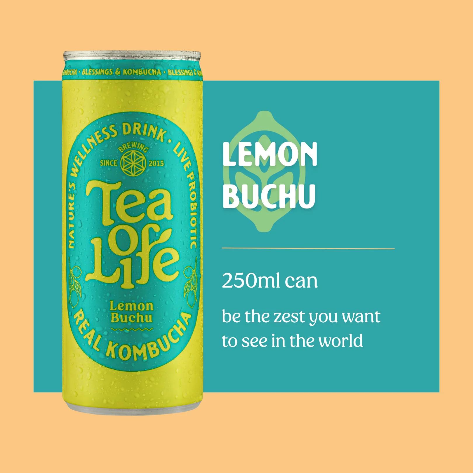 siproduct-3421-3230-3c88031914173d7b50b70a36fd5cfb62fa8716f4 tea of life lemon buchu 250ml. Tea of Life Lemon Buchu Can