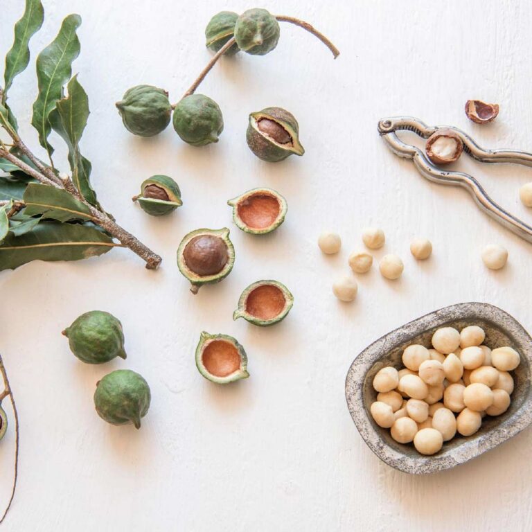 siproduct-3175-2815-225978d7174f884d5ee48c7e0eb15c. Macadamia Nuts 500g Organic Raw