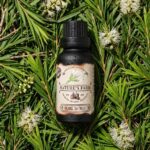 pomelli_photoshoot_image_4_5_0928-21. Organic Tea Tree Oil 20ml