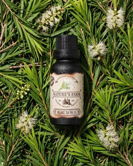pomelli_photoshoot_image_4_5_0928-21. Organic Tea Tree Oil 20ml