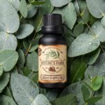 pomelli_photoshoot_image_4_5_0930-2. Organic Eucalyptus Oil 20ml
