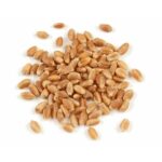 300 #1. Hard Red Wheat Kernels 1kg Certified Organic