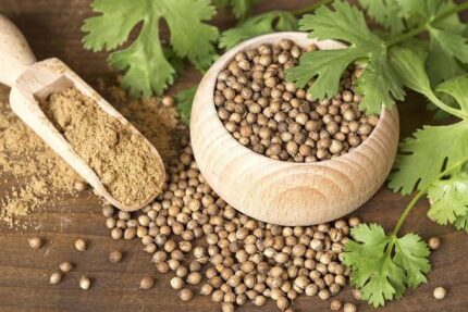 images. Coriander Seeds Organic 100g